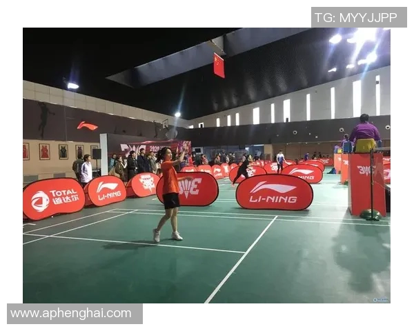 羽毛球耐力排行榜揭晓北京羽毛球队荣获第二名佳绩